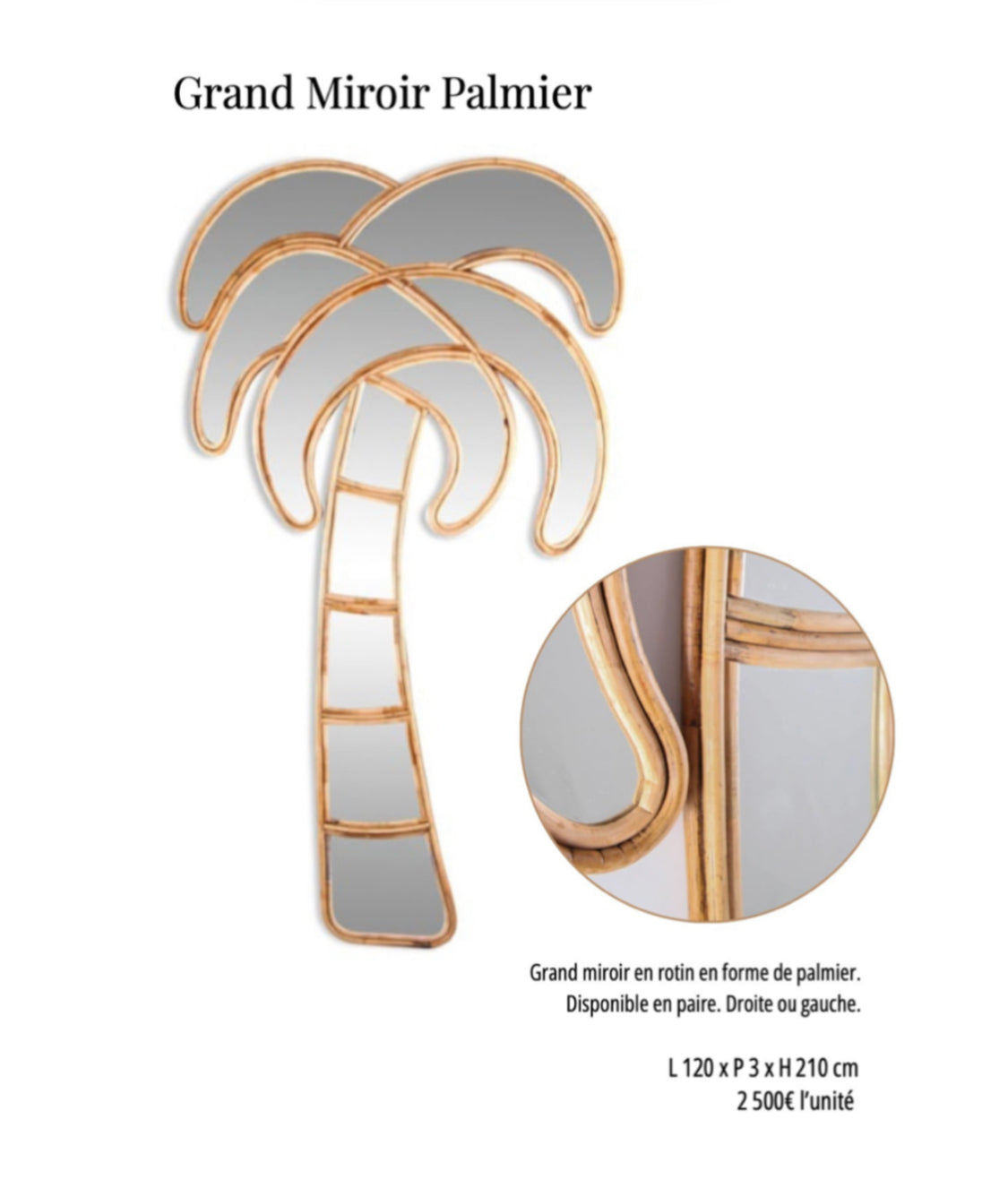 Grand Miroir Palmier Galerie Gérard G