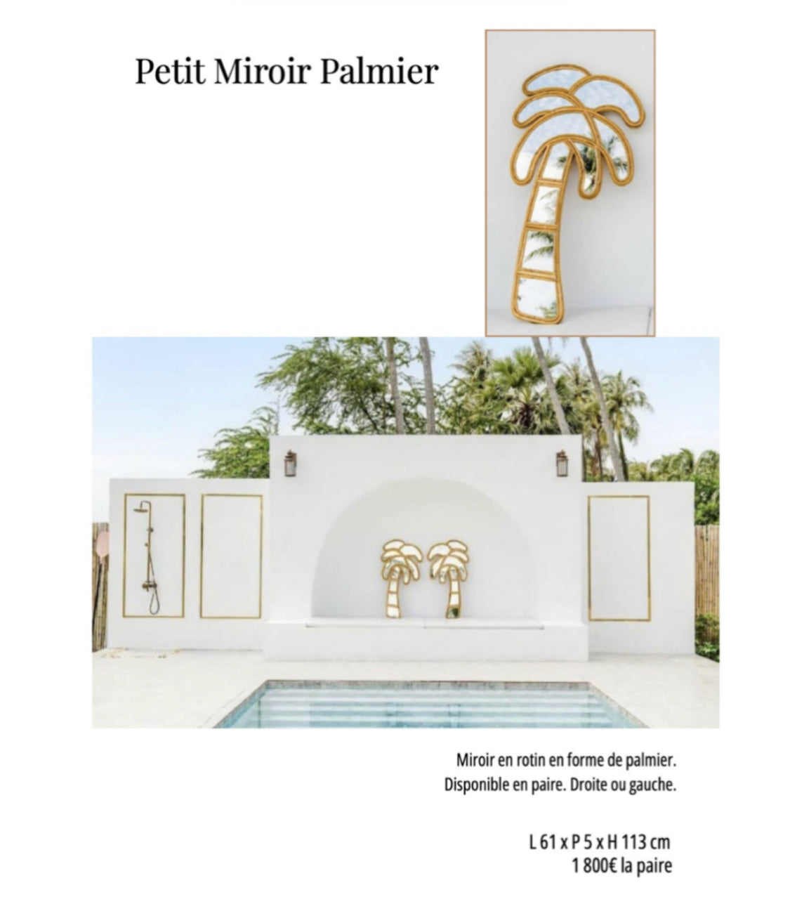 Petit Miroir Palmier Galerie Gérard G