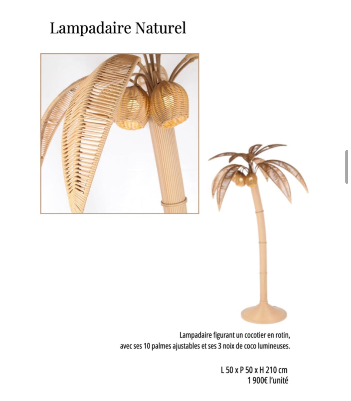 Lampadaire Naturel Galerie Gérard G