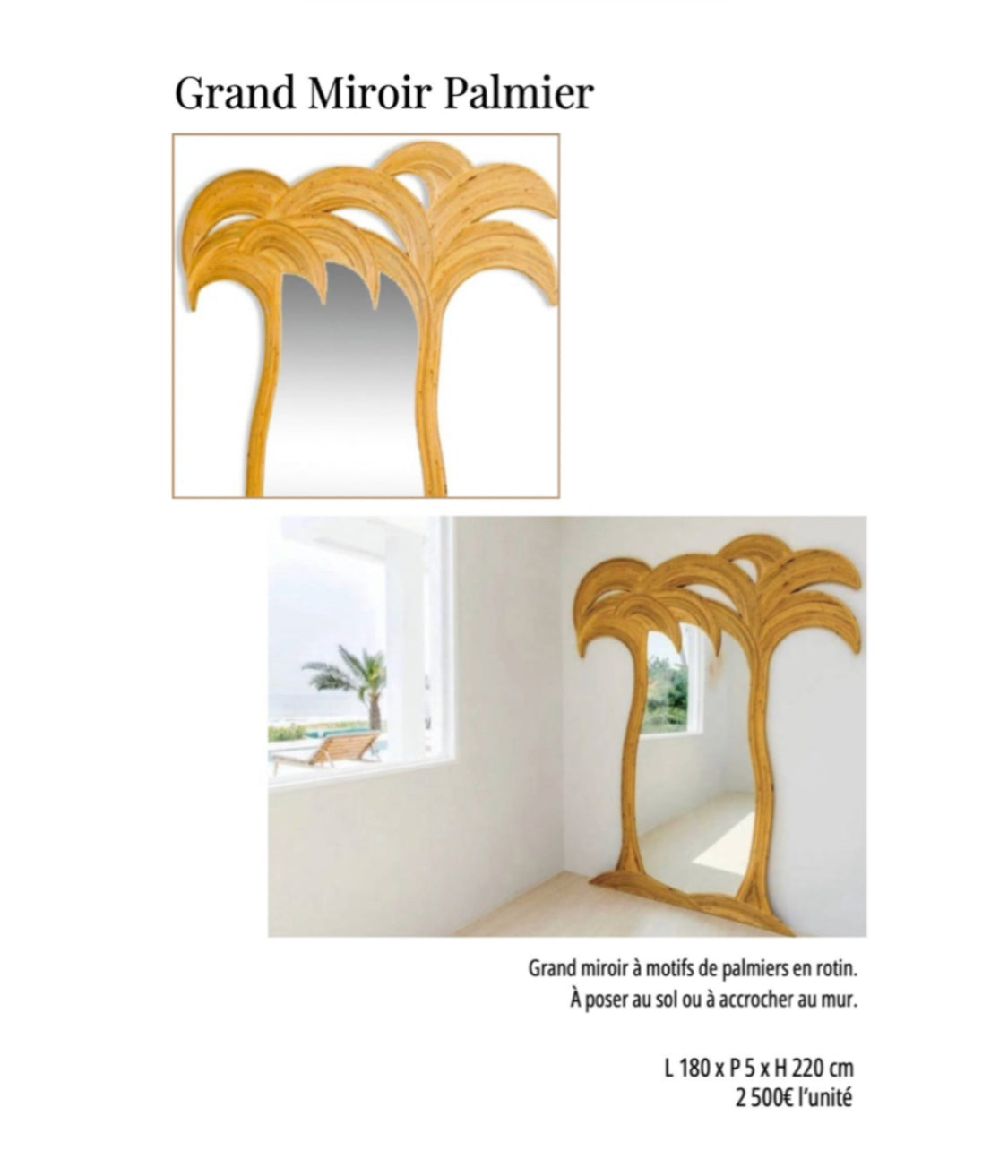 Grand Miroir Palmier Galerie Gérard G